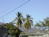 DSCN0016.JPG