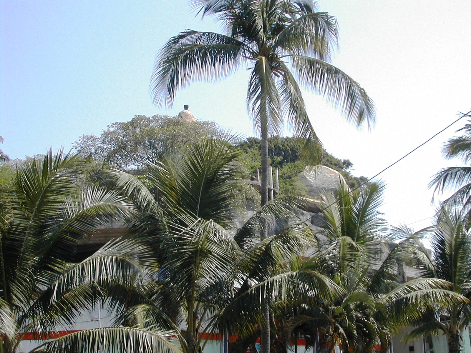 DSCN0045.JPG