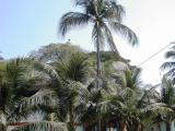 DSCN0045.JPG