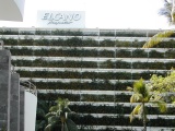 DSCN0050.JPG