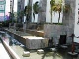 DSCN0051.JPG